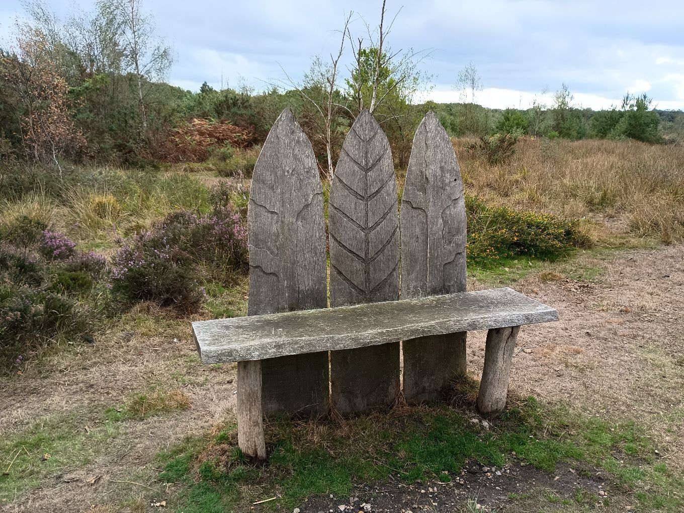 Stoke Common bench